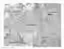 Fig. 11 - PATCH GRAFT COMPOSITIONS FOR CELL ENGRAFTMENT