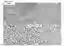 Fig. 15 - PATCH GRAFT COMPOSITIONS FOR CELL ENGRAFTMENT