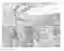 Fig. 21 - PATCH GRAFT COMPOSITIONS FOR CELL ENGRAFTMENT
