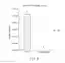 Fig. 06 - Sphingolipid coatings and process for manufacturing sphingolipid coatings effective for inhibiting biofilm formation