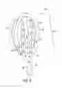Fig. 09 - Ureteral and bladder catheters and methods of inducing negative pressure to increase renal perfusion