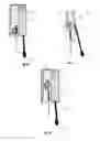 Fig. 07 - Morpho-Anatomic Flexible Web