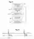 Fig. 09 - Active electrical nerve stimulation medical device, with automatic charge compensation control