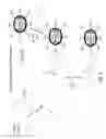 Fig. 04 - Magnetic particle conjugates and methods of activating cell signaling