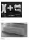 Fig. 07 - Edible Pneumatic Soft Robotic Actuators