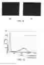 Fig. 09 - Preparation of templates for nucleic acid sequencing