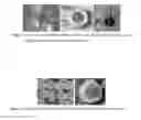 Fig. 08 - Superficially porous materials comprising a substantially nonporous hybrid core having narrow particle size distribution