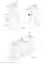 Fig. 04 - APPARATUS AND PROCESS FOR SEPARATING THROUGH FOAM