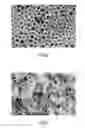 Fig. 02 - Method for producing silver nanoparticle dispersion and method for producing silver nanoparticle ink