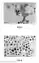 Fig. 04 - Method for producing silver nanoparticle dispersion and method for producing silver nanoparticle ink