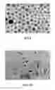 Fig. 06 - Method for producing silver nanoparticle dispersion and method for producing silver nanoparticle ink