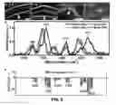 Fig. 06 - Nanoprocessing and heterostructuring of silk