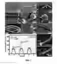 Fig. 08 - Nanoprocessing and heterostructuring of silk