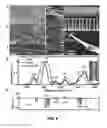 Fig. 09 - Nanoprocessing and heterostructuring of silk