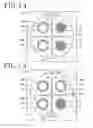 Fig. 12 - Wafer producing apparatus