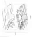Fig. 49 - SKATE BLADE SHARPENING SYSTEM