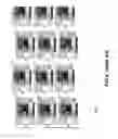 Fig. 09 - Mitigating trailing edge voids in flexographic printing