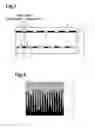 Fig. 02 - Multiple-image display body