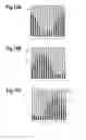 Fig. 06 - Multiple-image display body