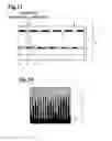 Fig. 08 - Multiple-image display body