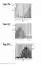 Fig. 09 - Multiple-image display body