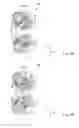Fig. 07 - Side vehicle body structure of vehicle