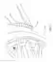 Fig. 11 - Conformable mud flap