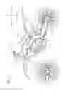 Fig. 02 - Handle for straddled vehicle, straddled vehicle and method for producing handle pipe for straddled vehicle