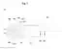 Fig. 08 - Frictional resistance-reducing device and ship including same