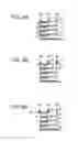 Fig. 09 - SHEET FEEDING APPARATUS