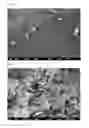 Fig. 03 - HEXAGONAL BORON NITRIDE POWDER, PRODUCTION METHOD THEREFOR, RESIN COMPOSITION AND RESIN SHEET