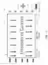 Fig. 12 - Systems and methods for controlling evaporative fluid loss