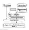 Fig. 01 - Covalently cross-linked lignocellulosic composites and applications thereof
