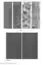Fig. 05 - Catalytically active foam formation powder