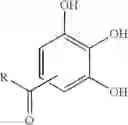 Fig. 09 - Catalytically active foam formation powder