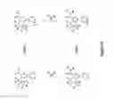 Fig. 11 - CANNABINOID RECEPTOR MODULATORS