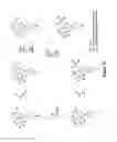 Fig. 13 - CANNABINOID RECEPTOR MODULATORS