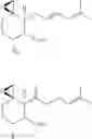 Fig. 44 - Oxaspiro[2.5]octane derivatives and analogs