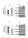 Fig. 09 - Compositions and methods for decreasing, or preventing or reversing gain of, skin pigmentation in a mammalian subject