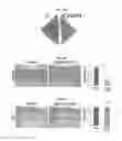 Fig. 17 - Compositions and methods for decreasing, or preventing or reversing gain of, skin pigmentation in a mammalian subject