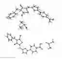 Fig. 01 - Solid forms of (Z)-4-(5-((3-benzyl-4-oxo-2-thioxothiazolidin-5-ylidene)methyl)furan-2-yl)benzoic acid