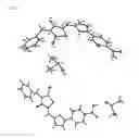 Fig. 02 - Solid forms of (Z)-4-(5-((3-benzyl-4-oxo-2-thioxothiazolidin-5-ylidene)methyl)furan-2-yl)benzoic acid