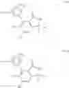 Fig. 154 - TYK2 inhibitors and uses thereof