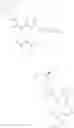 Fig. 503 - TYK2 inhibitors and uses thereof