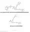 Fig. 03 - Substituted 4-phenylpiperidines, their preparation and use