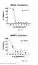 Fig. 04 - SHMT inhibitors