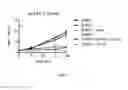 Fig. 07 - SHMT inhibitors