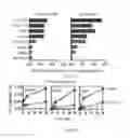 Fig. 28 - SHMT inhibitors