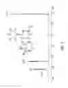 Fig. 08 - Process for the preparation of tricyclic PI3K inhibitor compounds and methods for using the same for the treatment of cancer