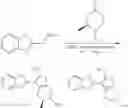 Fig. 285 - Compounds for the modulation of Myc activity